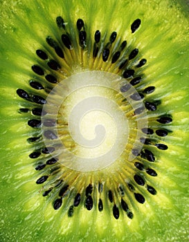 Kiwi