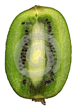 Kiwi