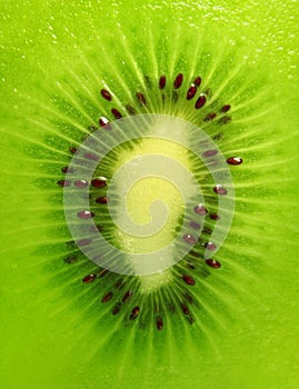 Kiwi background