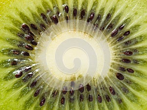 Kiwi background