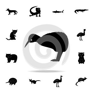 Kiwi bird icon. Detailed set of Australian animal silhouette icons. Premium graphic design. One of the collection icons for