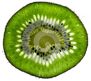 Kiwi close-up