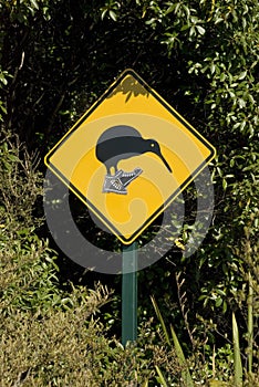 Kiwi crossing