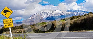 Kiwi Crossing road sign and volcano Ruapehu, NZ