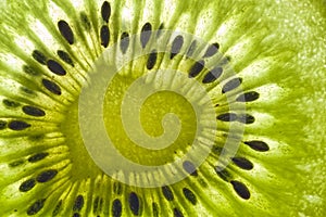 Kiwi fruit