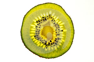 Kiwi Fruit