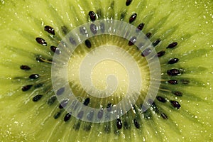 Kiwi fruit