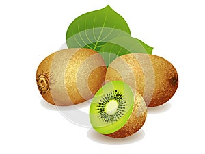 Kiwi Fruit