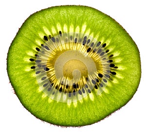 Kiwi Fruit