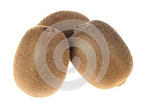 Kiwi Fruit