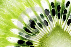 Kiwi Fruit