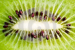 Kiwi Fruit