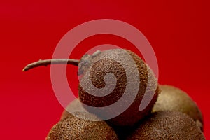 Kiwi fruit against a primary red studio background photo