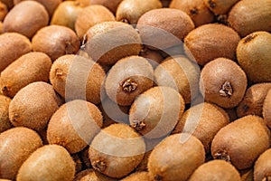 Kiwi fruit brown, whole in bulk, on supermarket, selective focus