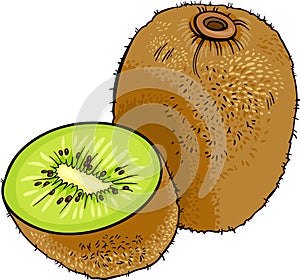 Kiwi fruit cartoon illustration