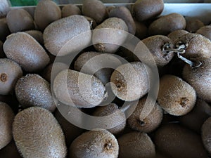 Kiwi fruit is full of vitaminC photo