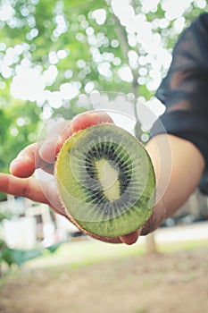 Kiwi fruit on hand