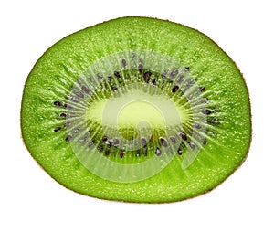 Kiwi fruit isolated on white background