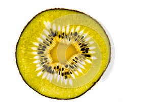 Kiwi fruit slice