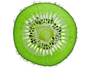 Kiwi fruit slice backlit