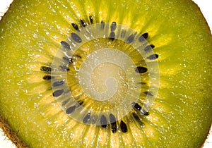 Kiwi Fruit slice isolated against white background