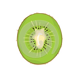 Kiwi fruit slice isolated on white background. Vector illustration of half a tropical fruit