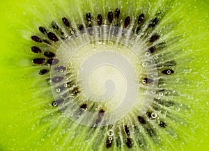 Kiwi Fruit Slice. Macro seeds. Fresh Green Kiwi slice.