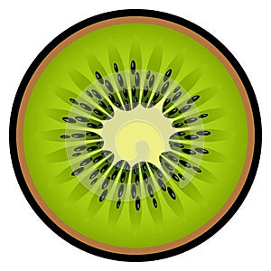 Kiwi fruit slice vector art graphic isolated on white background