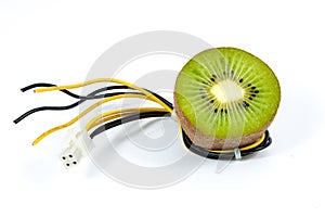 Kiwi fruit on top of wires