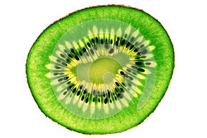 Kiwi fruit in transparency