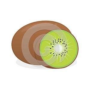 Kiwi fruit vector illustration isolated on white background