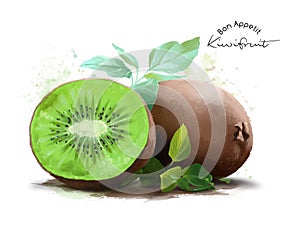 Kiwi fruit and watercolor splashes