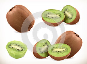 Kiwi fruit. Whole and pieces. Sweet fruit. Vector icons set. Realistic illustration