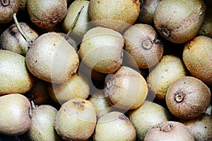 Kiwi fruits