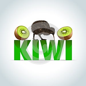 Kiwi illustration Animal and fruit cartoon