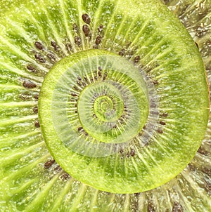 Kiwi infinity spiral abstract background.