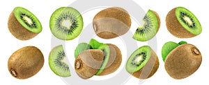 Kiwi isolated on white background with clipping path