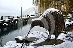 Kiwi and lake wakatipu blanketed in snow photo
