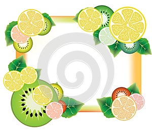 Kiwi and lemon slices frame