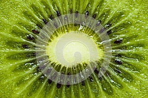 Kiwi macro background