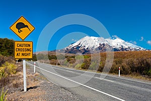 Kiwi and mount Ruapehu