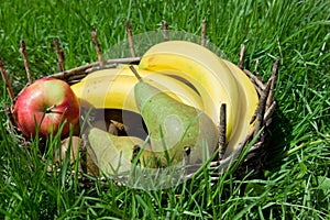 Kiwi, pears, apples, bananas in an old basket.