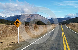 Kiwi road sign