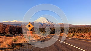 Kiwi road sign and volcano Mt. Ngauruhoe at sunset, New Zealand