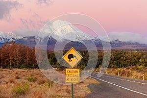 Kiwi road sign and volcano Mt. Ngauruhoe at sunset, Tongariro Na