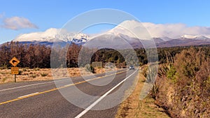 Kiwi road sign and volcano Ngauruhoe at Tongariro National Park