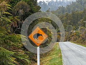 Kiwi road sign on the west coast of nz