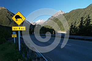 Kiwi sign