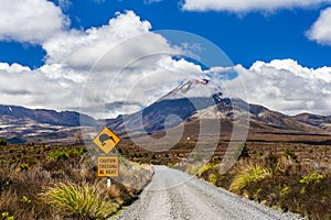 Kiwi sign and mount Ngauruhoe in New Zealand