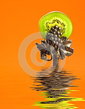 Kiwi slice clamped in luxury silver tongs in rendered water